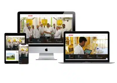 Web Development