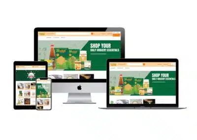 E Commerce Development